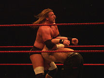 Triple H-PEDIGREE