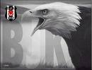 BEŞİKTAŞ