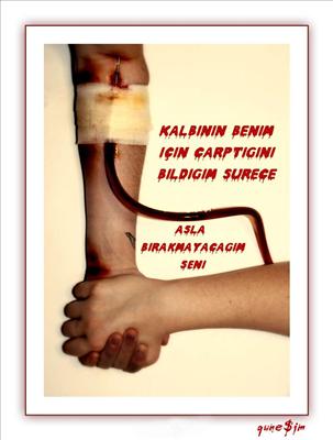 EVET