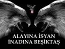 Bjk