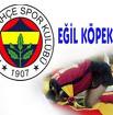 Galatasaraydan ne kadar nefret ediyorsun buraya