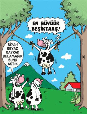 BEŞİKTAŞŞ