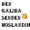 Ona   Ben  senden  hoşlandım . derim