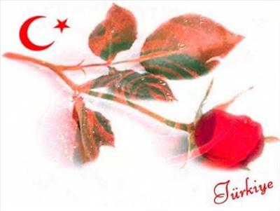 Hayır vermezdim
