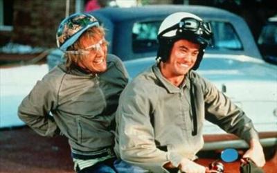 Dumb and dumber