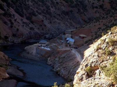 ŞİFALI DEĞİLİR