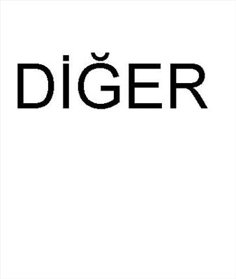 Diğer