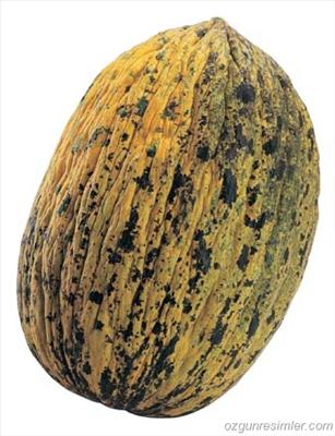 Çobanoğlu manav