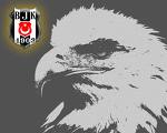 BEŞİKTAŞ BJK