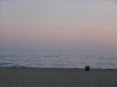 Calma e riflessiva