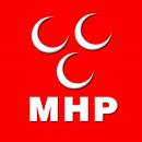 Milliyetçi Hareket Partisi