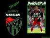 Bursaspor