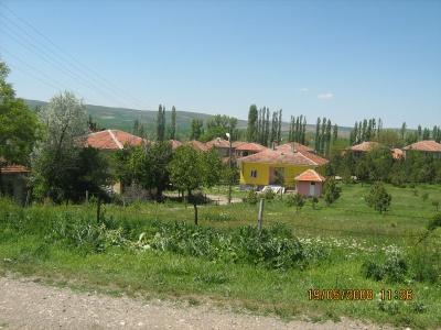 HAYIR