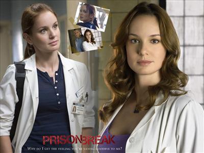 Dr. Sara Tancredi