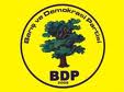 Barış Ve Demokrasi Partisi (BDP)