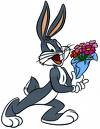 Bags bunny