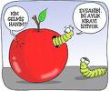 6. resim