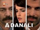 Dizi