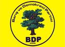BDP