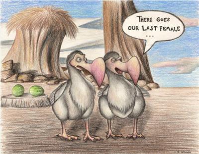 Dodo Bird