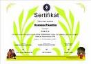 Sertifikat