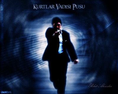 Polat Alemdar 