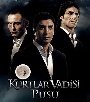 Kurtlar vadisi
