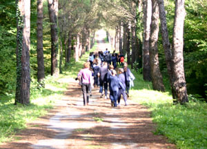 Atatürk arboretumu dedik ama olmuyomuş maalesef,olsun ısrarla o olsun:)