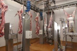 Ubój zwierząt - nieludzkie warunki przemieszczania i przetrzymywania zwierząt w rzeźni