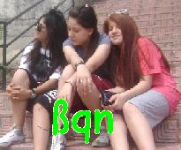 BqN*.)