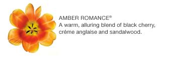 Amber Romance