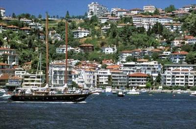 Bebek