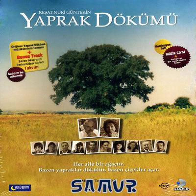 YAPRAK DÖKÜMÜ