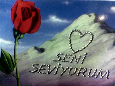 HİÇ BİRİ