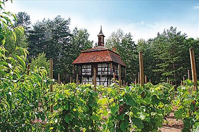 Vineyards and Apiaries