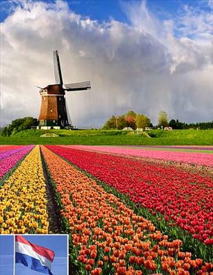Hollanda