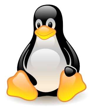 Linux [Redhat, Ubuntu, Fedora etc.]