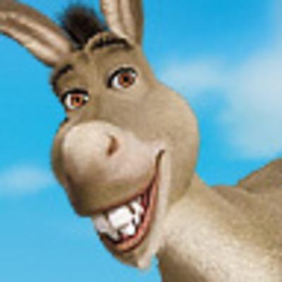 The  donkey