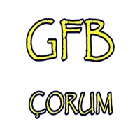 Genç Fenerbahçeliler ÇORUM