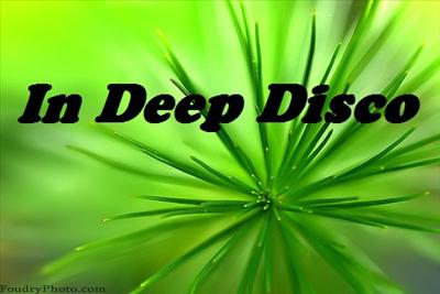 In Deep Disco