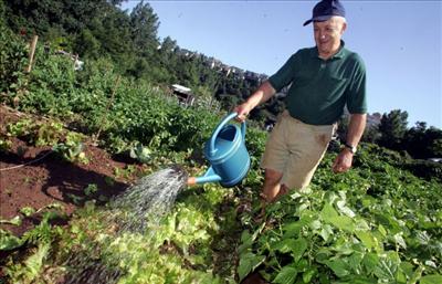 Le jardinier amoureux