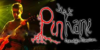 Pinhani