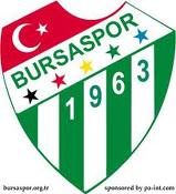 Bursa Spor