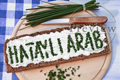 Hatayli Arab