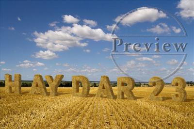 Haydar 23