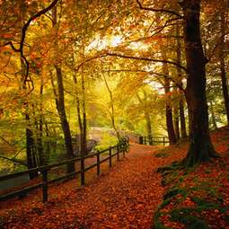 Herbst
