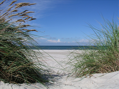 Sommer