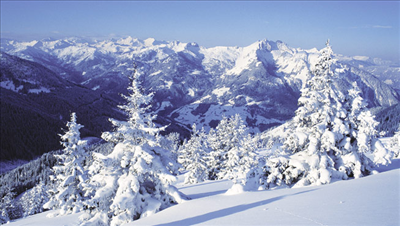 Winter